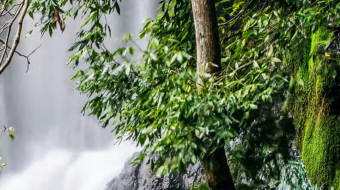 瀑布山水溪流风景素材-众图网