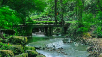瀑布山水溪流风景素材-众图网