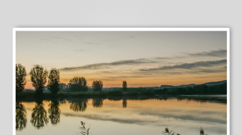 唯美芦苇花视频素材-众图网