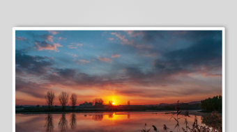 唯美芦苇花视频素材-众图网