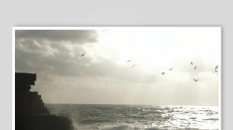 海边悬崖飞鸟壮丽景观-众图网