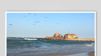 海边美景海浪与飞鸟相伴-众图网