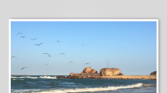 海边美景飞鸟与海浪相伴-众图网