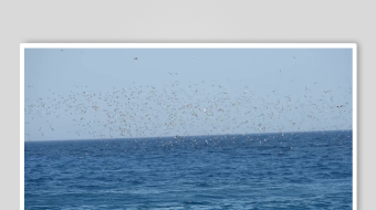 广阔蓝色海洋景象-众图网