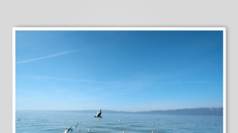 海天一色间的飞鸟景致-众图网