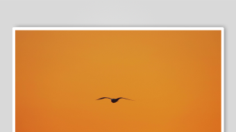 夕阳下双鸟翱翔天际-众图网