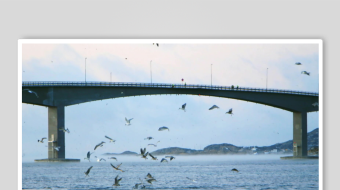 海上桥梁飞鸟景观图-众图网