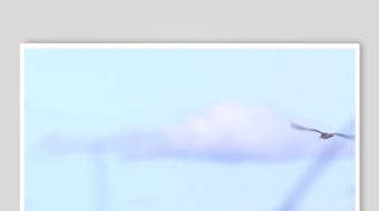 蓝天中翱翔的飞机-众图网