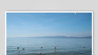 海面群鸟飞翔的美丽景致-众图网