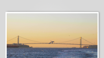 海鸥飞翔视频素材-众图网