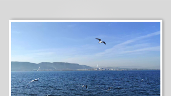 碧海蓝天海鸥翱翔美景-众图网