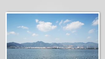 海鸥飞翔视频素材-众图网