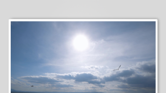 海鸥飞翔视频素材-众图网