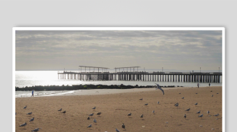 海滩上的人群与飞翔海鸟-众图网