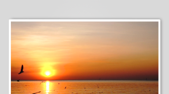 海上日落飞鸟美景-众图网