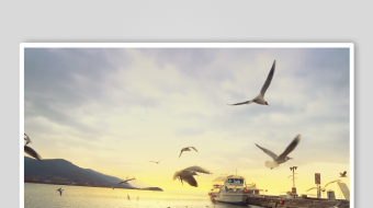 海边码头飞鸟伴夕阳美景-众图网