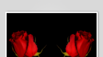 春暖花开延时素材-众图网