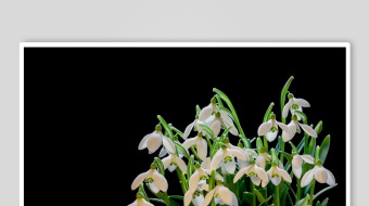 春暖花开延时素材-众图网