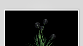 发光绿植神秘梦幻之景-众图网