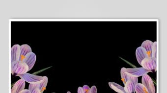 春暖花开延时素材-众图网