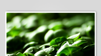 春暖花开延时素材-众图网