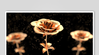 金色玫瑰绽放于暗夜-众图网