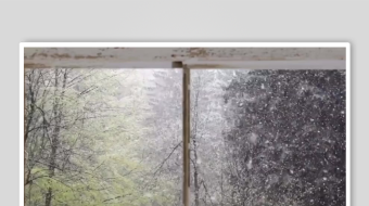 窗外朦胧森林景致-众图网