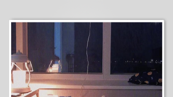 温馨窗边小景猫咪相伴-众图网