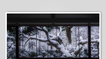 雪景森林舞台幕布景观-众图网