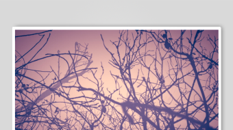 万圣节背景视频素材-众图网