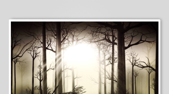 迷雾森林中的神秘光影-众图网