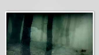 迷雾森林中的神秘景象-众图网