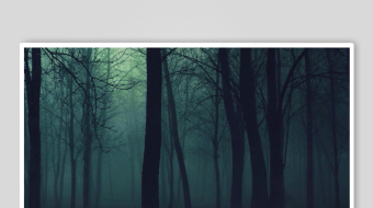 神秘幽森的暗夜森林-众图网