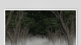 迷雾森林中的静谧小径-众图网