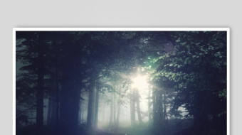 森林中神秘的光束穿透雾气-众图网