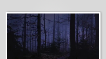 幽森暗夜林间小道-众图网