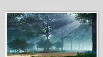 林间晨光静谧森林美景-众图网