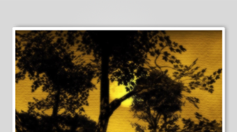 黄昏下的树木剪影-众图网