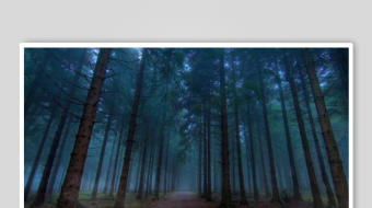 迷雾森林中的幽静小径-众图网