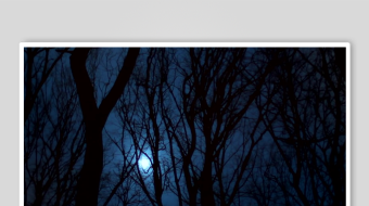 月夜下的树林剪影-众图网