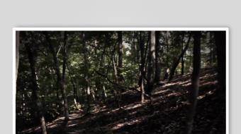 林间幽径光影洒落的静谧处-众图网