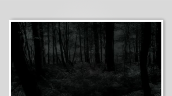 黑暗森林中的静谧景象-众图网