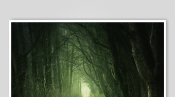 幽森小径尽头的神秘微光-众图网