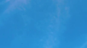 唯美花视频素材背景-众图网