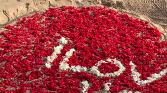 唯美花视频素材背景-众图网