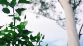 唯美花视频素材背景-众图网