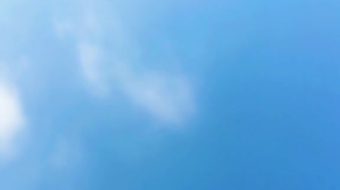 唯美花视频素材背景-众图网