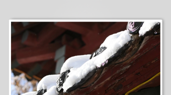 冬天唯美雪花飘素材背景-众图网