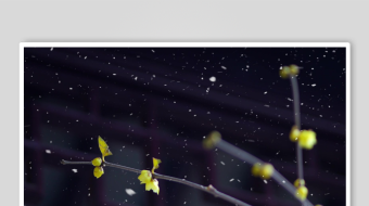 冬天唯美雪花飘素材背景-众图网