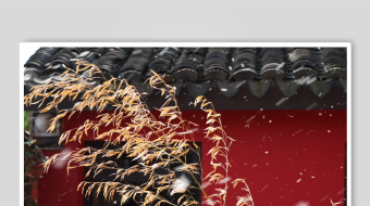 冬天唯美雪花飘素材背景-众图网